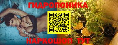 эйфоретик Обь