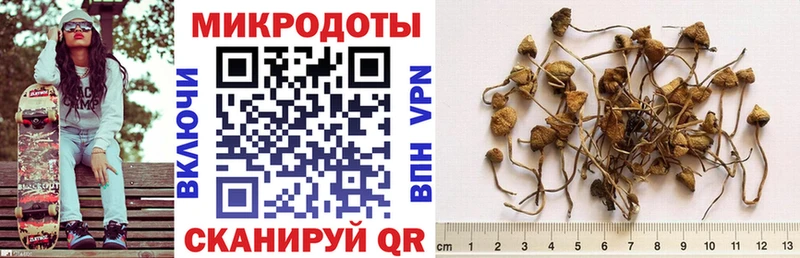 Псилоцибиновые грибы Psilocybine cubensis Саки