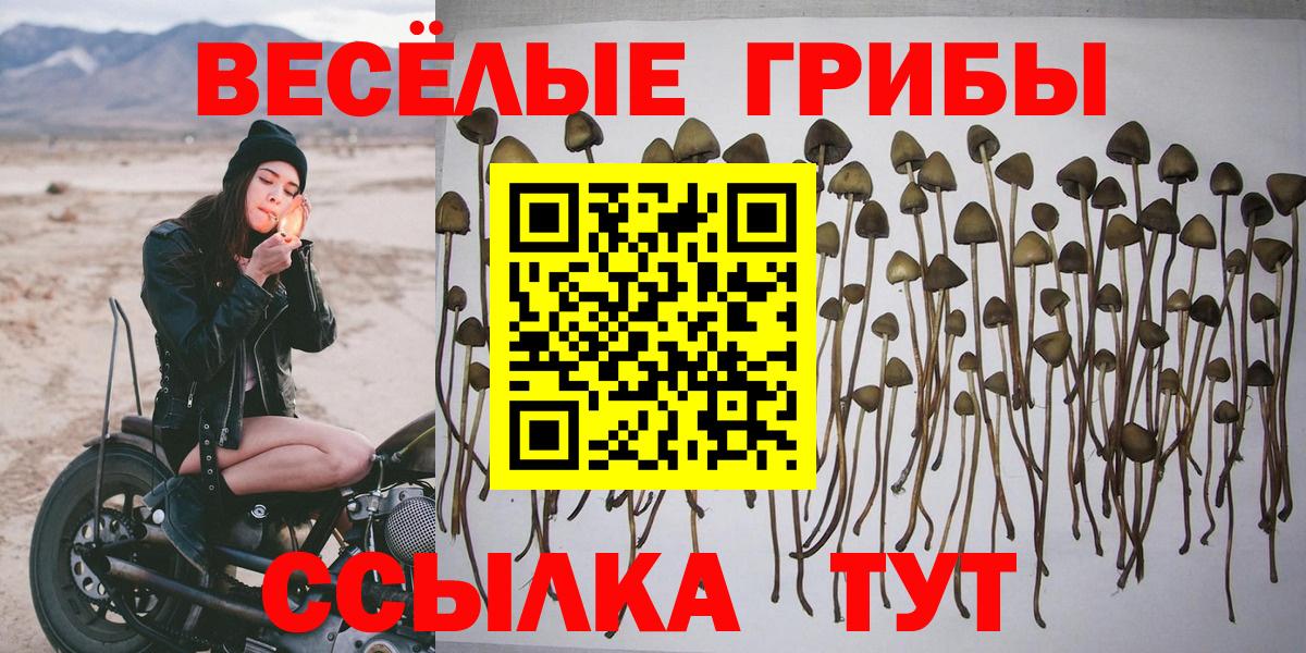 Галлюциногенные грибы Magic Shrooms Саки