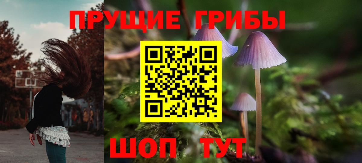 Саки  Галлюциногенные грибы MAGIC MUSHROOMS  Псилоцибиновые грибы мухоморы  Вход с VPN 